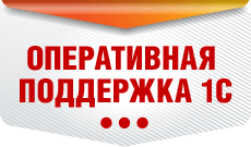 Оперативная поддержка 1С